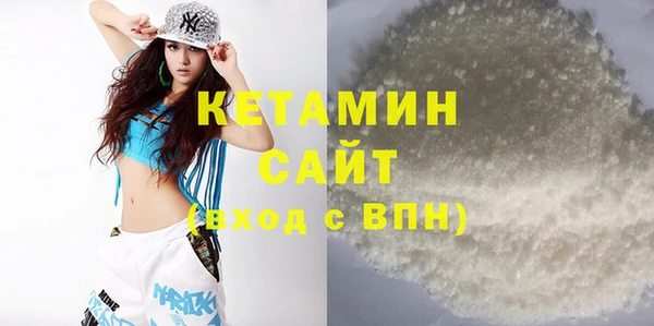 индика Гусь-Хрустальный