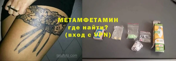 индика Гусь-Хрустальный