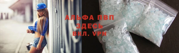 индика Гусь-Хрустальный