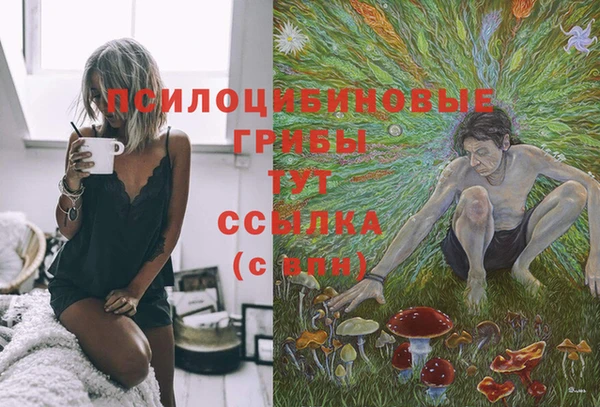 spice Гусев
