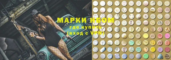 индика Гусь-Хрустальный