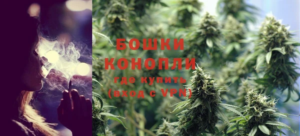 дживик Елабуга