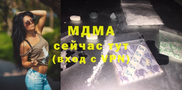 индика Гусь-Хрустальный