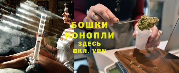 индика Гусь-Хрустальный