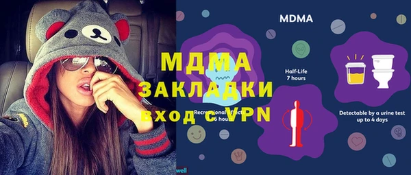 индика Гусь-Хрустальный