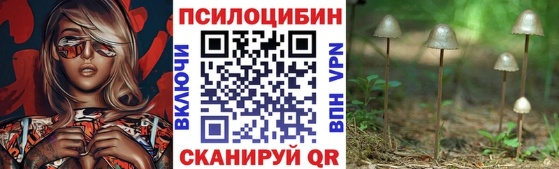 Галлюциногенные грибы Psilocybe  дарк нет официальный сайт  Дудинка 